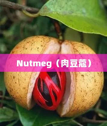 Nutmeg,香料之王的魅力与神秘 Nutmeg,香料之王的魅力与神秘