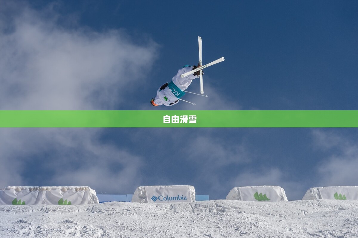 自由滑雪，雪上的舞蹈艺术