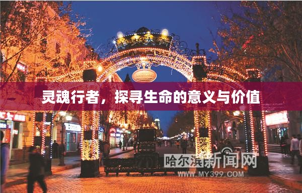 灵魂行者，探寻生命的意义与价值