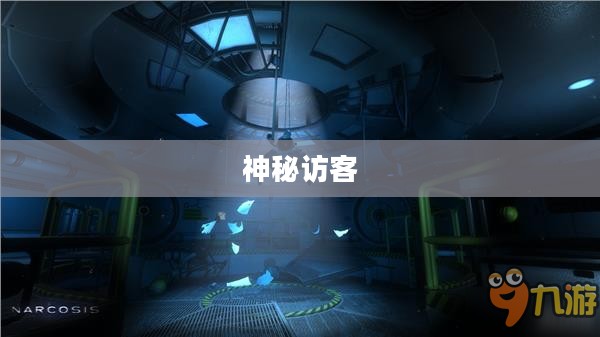 神秘访客,探索未知的奥秘 神秘访客,探索未知的奥秘