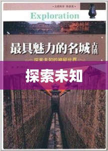 神秘访客，探索未知的奥秘