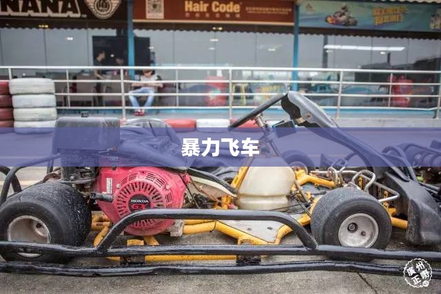 暴力飞车,速度与激情的无尽追逐 暴力飞车,速度与激情的无尽追逐