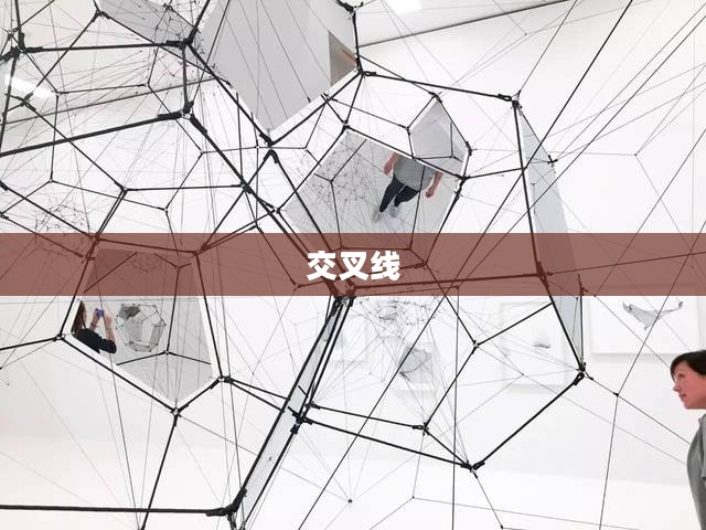 交叉线，几何之美与复杂结构的探索