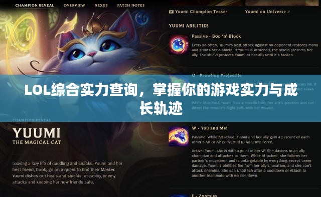 LOL综合实力查询，掌握你的游戏实力与成长轨迹