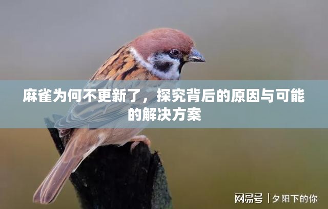 麻雀为何不更新了,探究背后的原因与可能的解决方案 麻雀为何不更新了,探究背后的原因与可能的解决方案