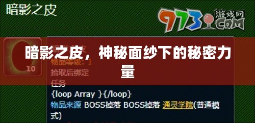 暗影之皮,神秘面纱下的秘密力量 暗影之皮,神秘面纱下的秘密力量