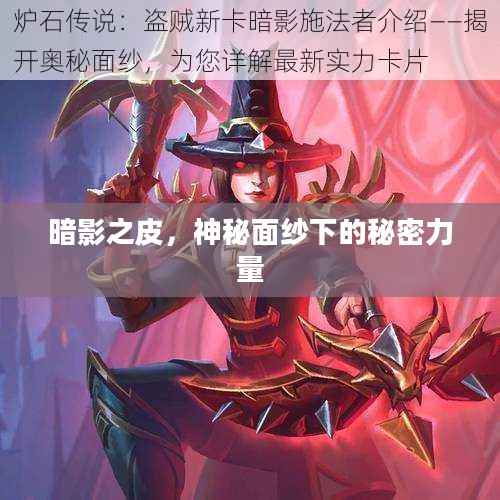 暗影之皮，神秘面纱下的秘密力量
