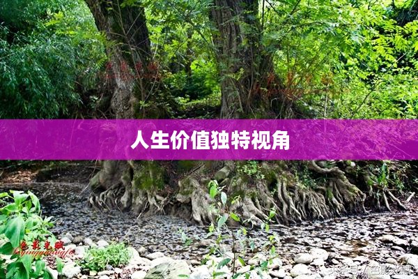 流放精华,探寻人生价值的独特视角 流放精华,探寻人生价值的独特视角