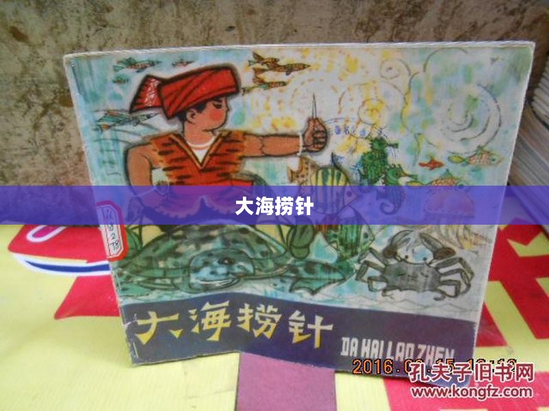 大海捞针,无尽的追寻与希望的力量 大海捞针,无尽的追寻与希望的力量