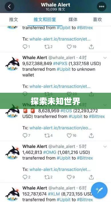 探索未知世界，我的神秘服务器IP之旅