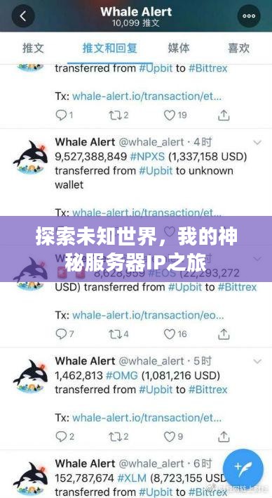 探索未知世界,我的神秘服务器IP之旅 探索未知世界,我的神秘服务器IP之旅