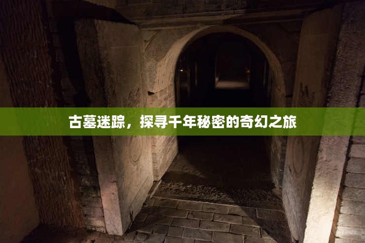 古墓迷踪，探寻千年秘密的奇幻之旅