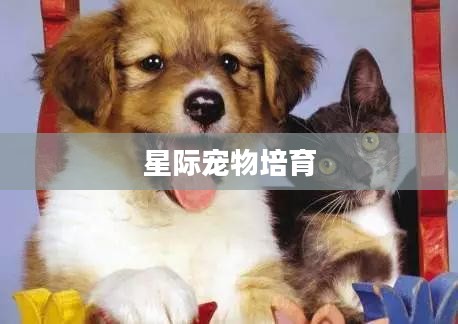 银河霸主饲养手记，星际宠物的独特培育之旅