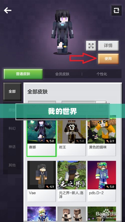 我的世界,如何轻松更换游戏皮肤 我的世界,如何轻松更换游戏皮肤