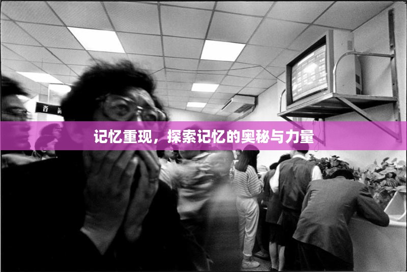 记忆重现,探索记忆的奥秘与力量 记忆重现,探索记忆的奥秘与力量