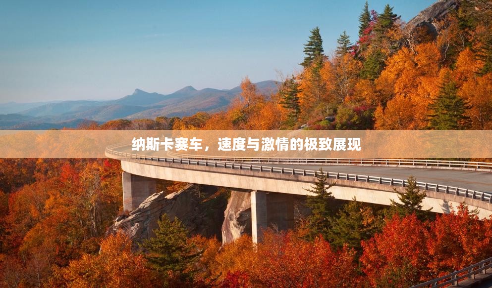 纳斯卡赛车，速度与激情的极致展现