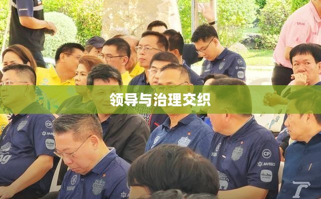 政客的角色与挑战，领导与治理的交织