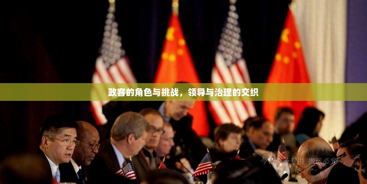 政客的角色与挑战,领导与治理的交织 政客的角色与挑战,领导与治理的交织
