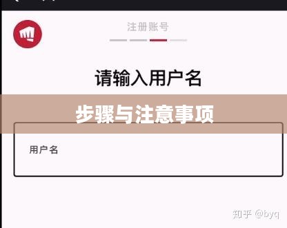 拳头账号注册详解,步骤、注意事项与常见问题解答 拳头账号注册详解,步骤、注意事项与常见问题解答