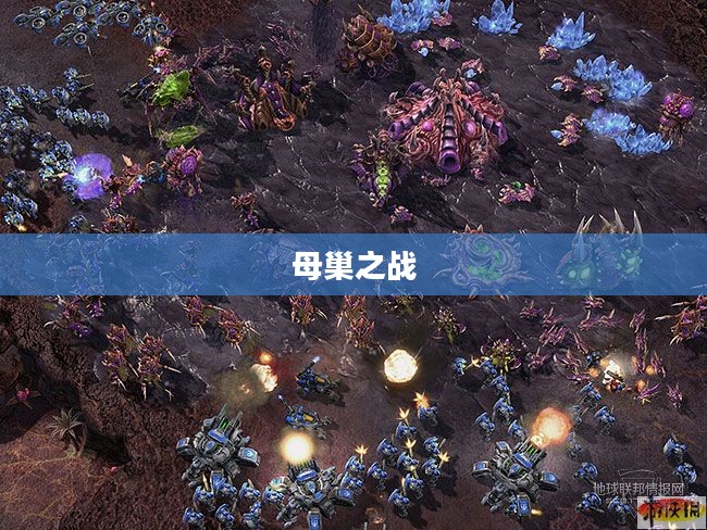 母巢之战，一场关乎生存与荣耀的较量