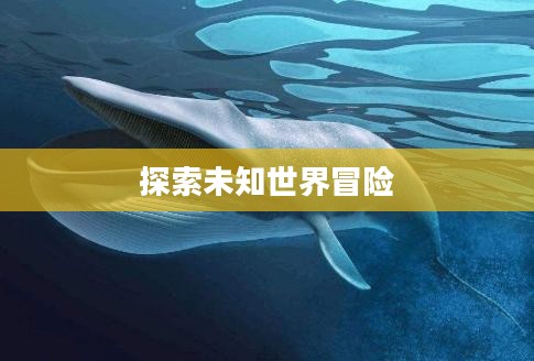 游戏大白鲨，探索未知世界的冒险之旅