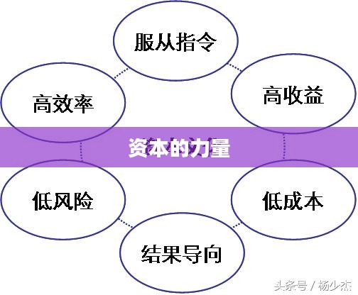 探究资本的力量，从资本的演变看社会发展