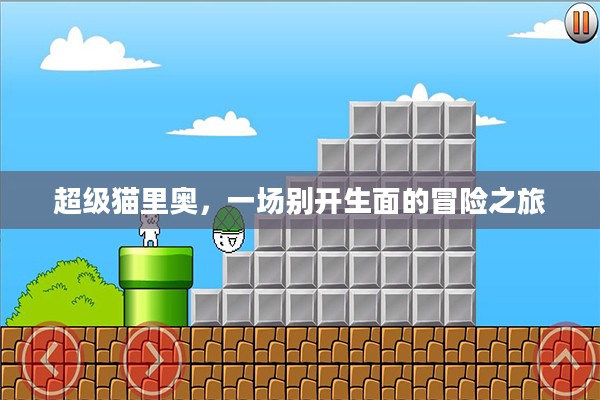 超级猫里奥，一场别开生面的冒险之旅