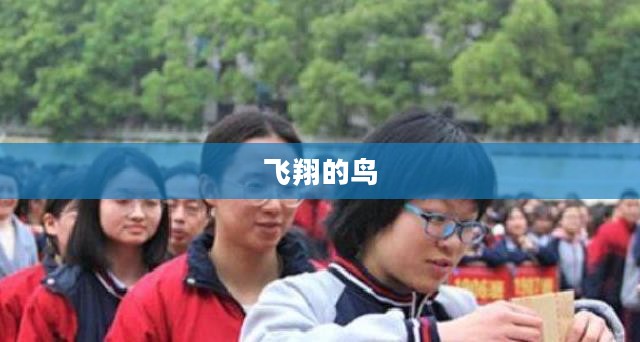 飞翔的鸟,自由、梦想与生命的象征 飞翔的鸟,自由、梦想与生命的象征