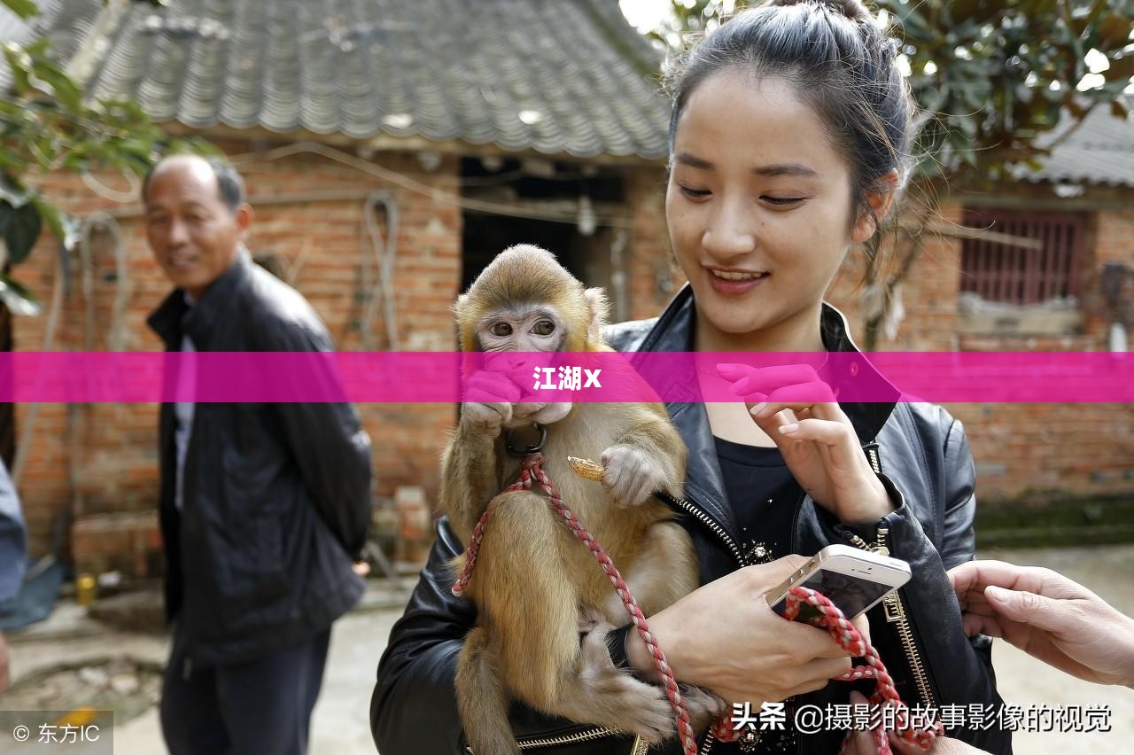 江湖X,探索与传承 江湖X,探索与传承