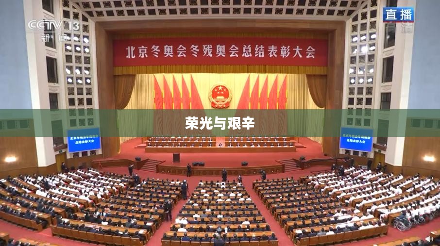 一将成名——英雄之路的荣光与艰辛