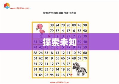 数字迷宫，探索未知的奥秘