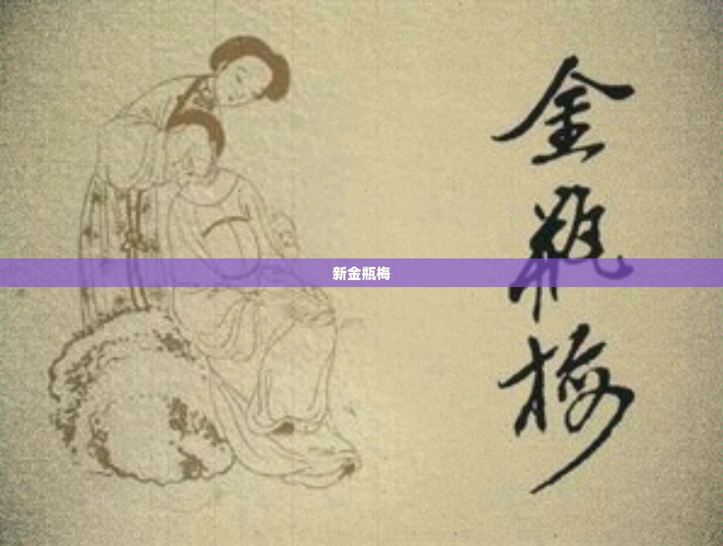 新金瓶梅，探索古典文学的现代下载之旅