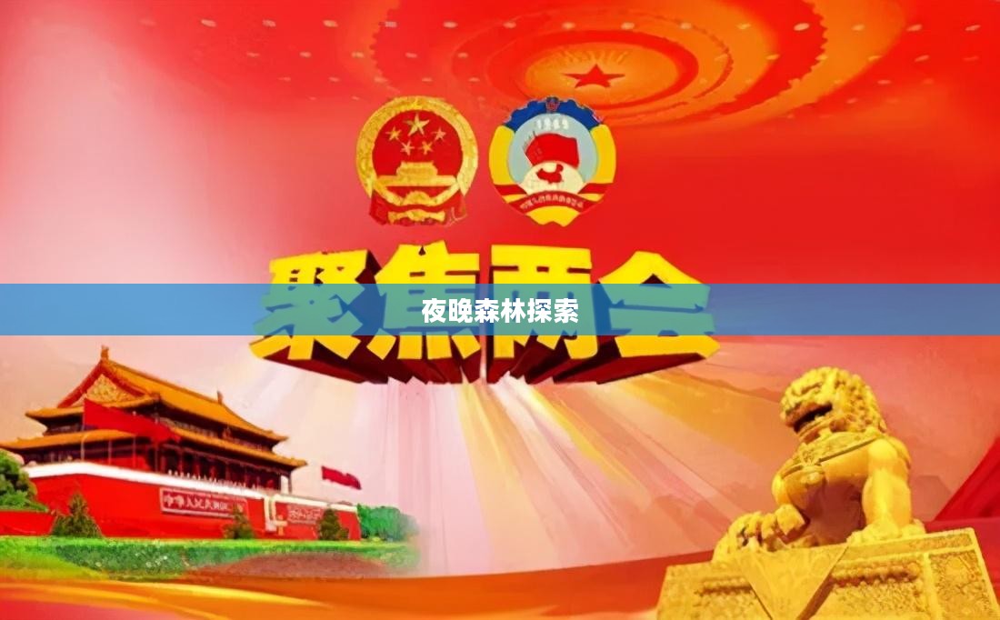 夜晚的森林深处，探索与领悟
