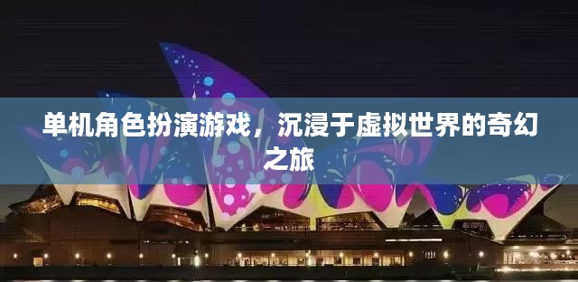 单机角色扮演游戏，沉浸于虚拟世界的奇幻之旅