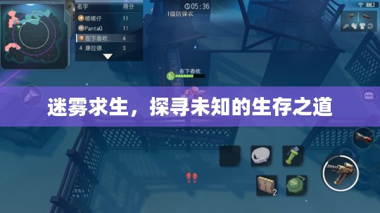 迷雾求生,探寻未知的生存之道 迷雾求生,探寻未知的生存之道