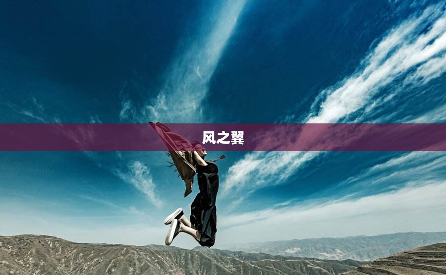 风之翼，自由与梦想的翅膀
