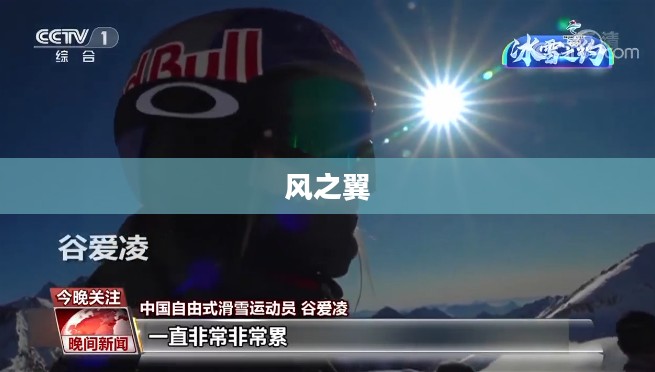 风之翼，自由与梦想的翅膀