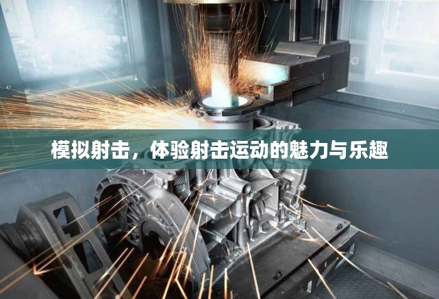 模拟射击，体验射击运动的魅力与乐趣