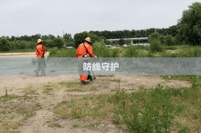 最后一道防线，守护的力量与责任的重量