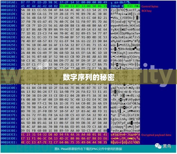 探索数字序列的秘密，解码100011的魅力