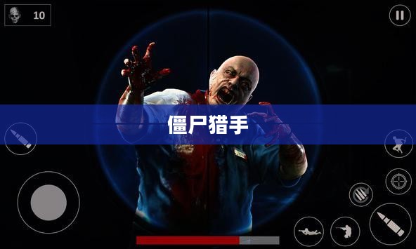 僵尸猎手，暗夜中的英雄
