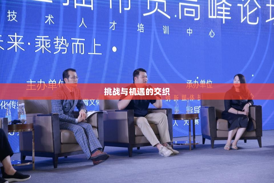 风暴2，挑战与机遇的交织