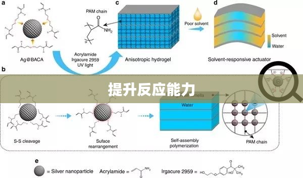 速度球，挑战极限，提升反应能力的运动利器
