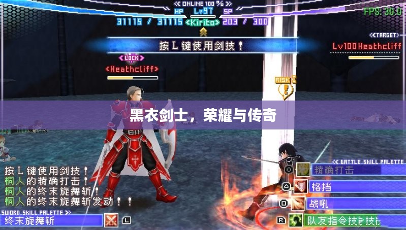 黑衣剑士,荣耀与传奇 黑衣剑士,荣耀与传奇