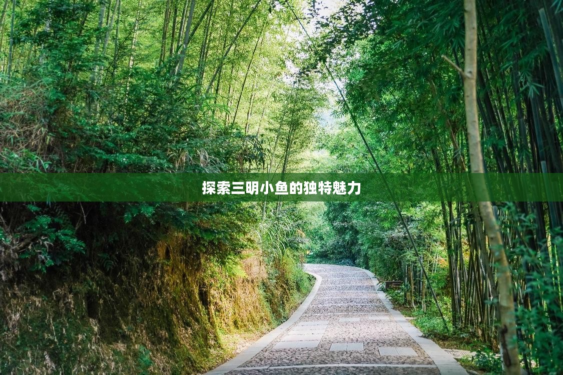 探索三明小鱼的独特魅力