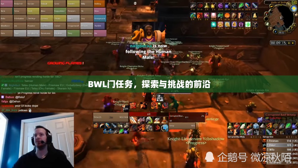 BWL门任务，探索与挑战的前沿