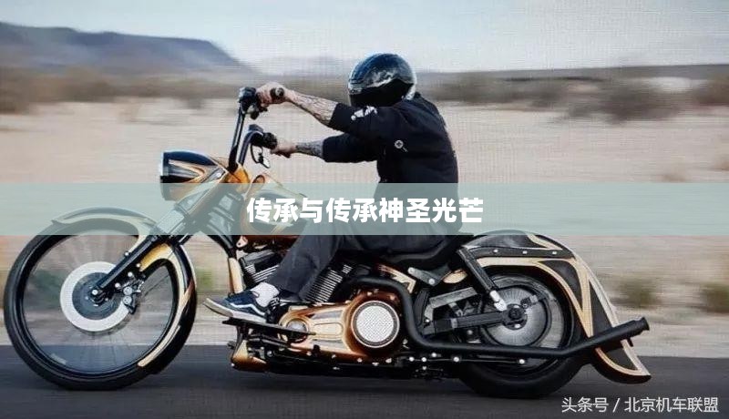 重现圣光，神圣光芒的觉醒与传承
