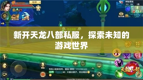 新开天龙八部私服，探索未知的游戏世界