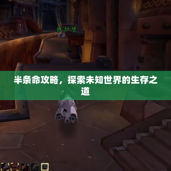 半条命攻略，探索未知世界的生存之道