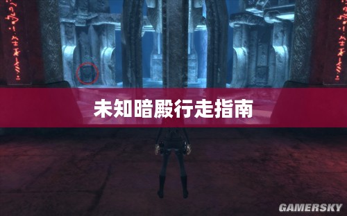 探索神秘之地,未知暗殿的行走指南 探索神秘之地,未知暗殿的行走指南